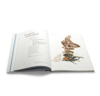 Het_wonderlijke_insectenboek_2